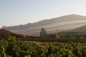 Centopassi Libera Terra