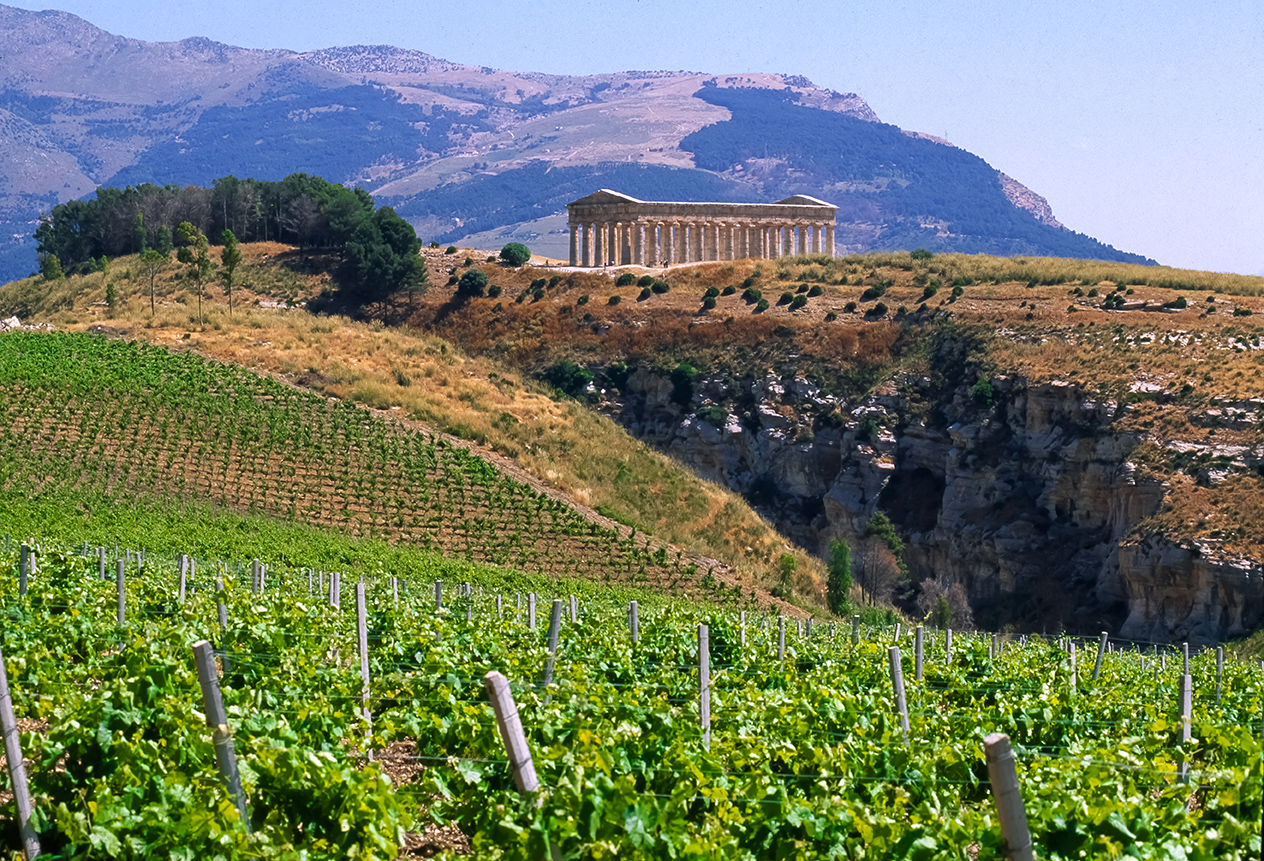 Fazio – Casa Vinicola in Erice