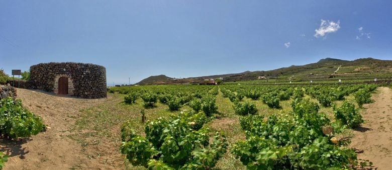 Sicilia Occidentale: Trapani, Marsala, le Egadi e Pantelleria