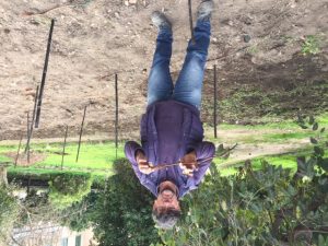 Orto botanico Vigna del Gallo. Tecnico con una barbatella in mano
