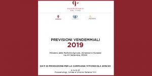 previsioni vendemmia 2019