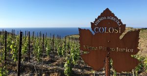 colosi
