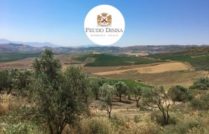 Feudo Disisa
