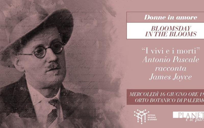 bloomsday in the blooms Planeta