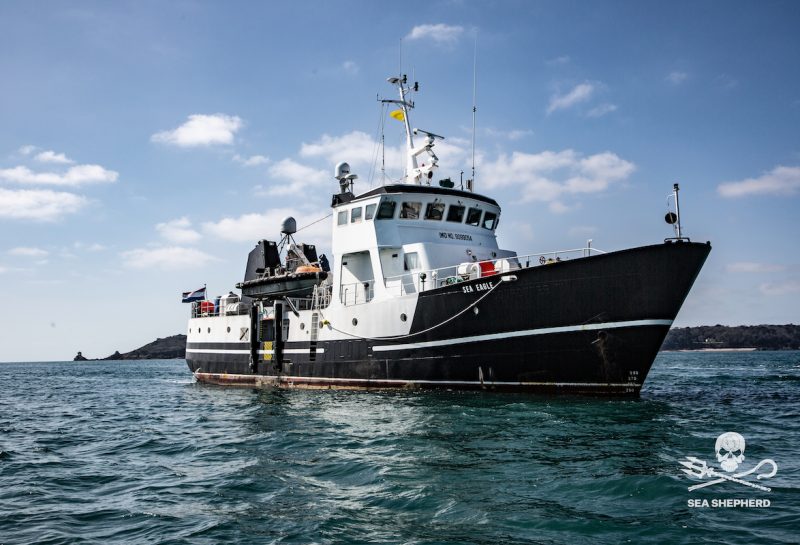 Sea Eagle boat in water