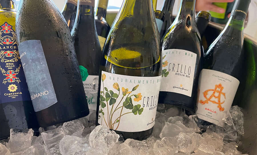 degustazione Grillo Doc Sicilia Palermo