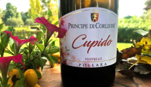 Cupido, il novello di Principe di Corleone