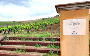 Tasca d'Almerita - Vigna San Lucio