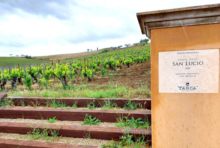 Tasca d'Almerita - Vigna San Lucio