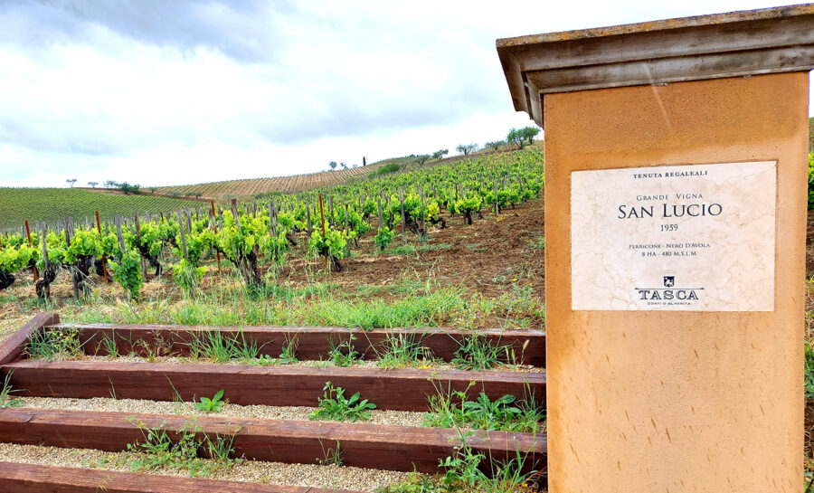 Tasca d'Almerita - Vigna San Lucio