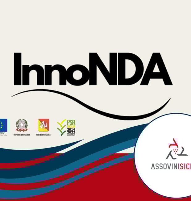 Innonda, conferenza stampa conclusiva