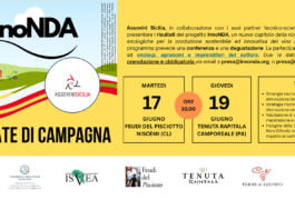 Innonda Presentazione