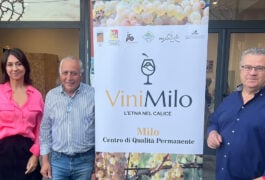 vinimilo