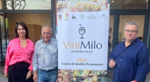 vinimilo