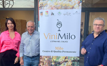 vinimilo