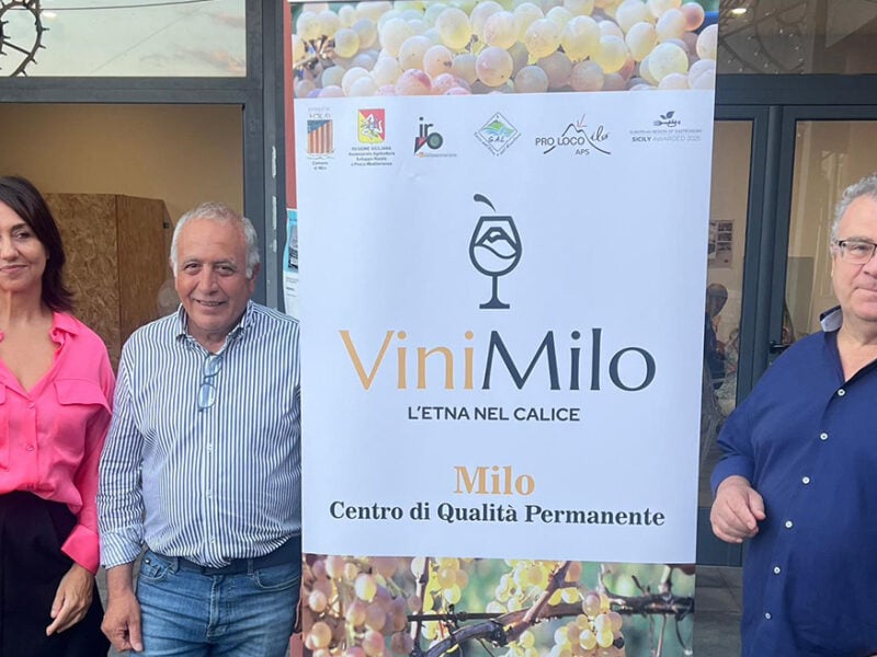 vinimilo